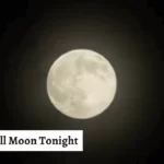 Is It a Full Moon Tonight a Newbie's Manual to Moon Stages (Is It a Full Moon Tonight Moon Phases)