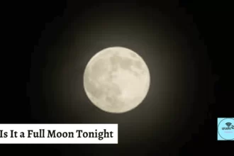 Is It a Full Moon Tonight a Newbie's Manual to Moon Stages (Is It a Full Moon Tonight Moon Phases)